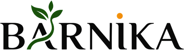 Barnika Store